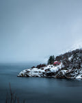 Crimson Cabin
